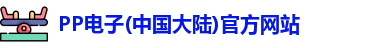 PP电子(中国大陆)官方网站